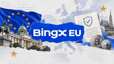 Bingx Eu Mica License