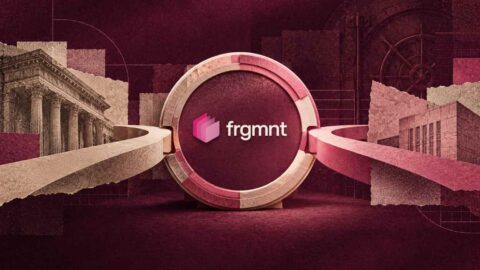 Frgmnt Morpho Vault Allocator