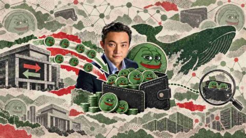 Justin Sun Pepe Biggest Holder